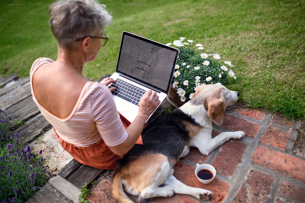 庭で屋外で作業するラップトップを持つシニア女性建築家の後ろ姿、ホームオフィスのコンセプト。