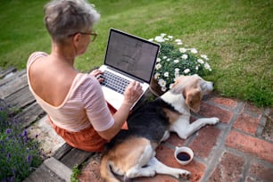 A rear view of senior woman architect with laptop working outdoors in garden, home office concept.