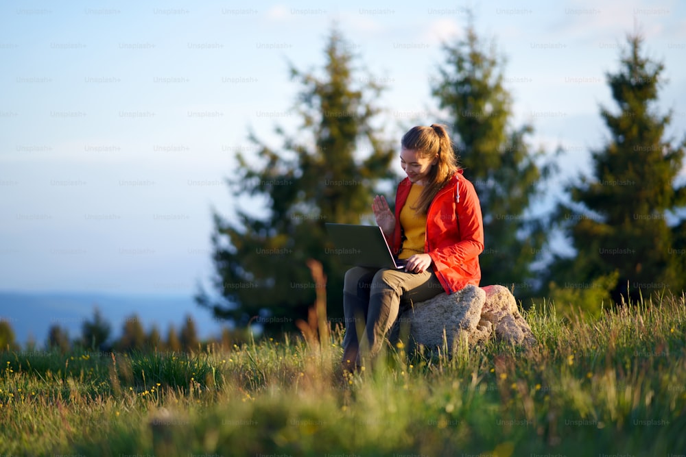 여름 자연에서 야외에서 노트북을 사용하는 행복한 젊은 여성, 화상 통화 개념.