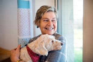 Cheerful senior woman with pet dog indoors at home, relaxing.