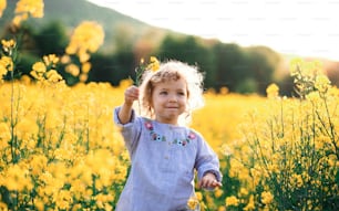 Front view of happy small toddler girl running in spring nature in rapeseed field.