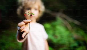 Unrecognizable small child outdoors in summer nature, holding wild strawberry. Copy space.