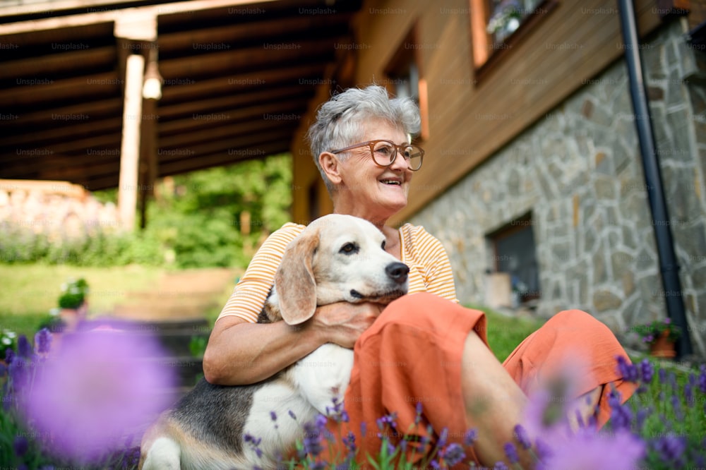 Retrato da vista lateral da mulher sênior com o cão do animal de estimação sentado ao ar livre no jardim, relaxando.