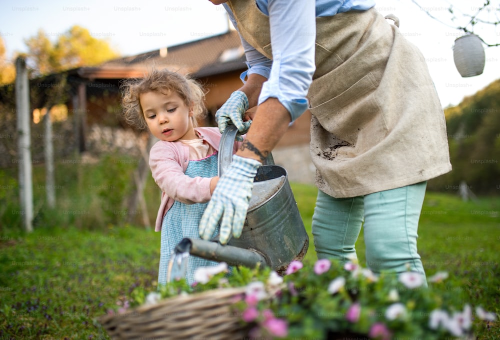 Unrecognizable senior grandmother with small granddaughter gardening outdoors in summer.