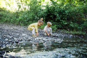 Full length portrait of small boy and girl playing with rocks by stream in nature.