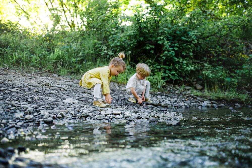 Retrato de cuerpo entero de niño y niña pequeños jugando con rocas por arroyo en la naturaleza.