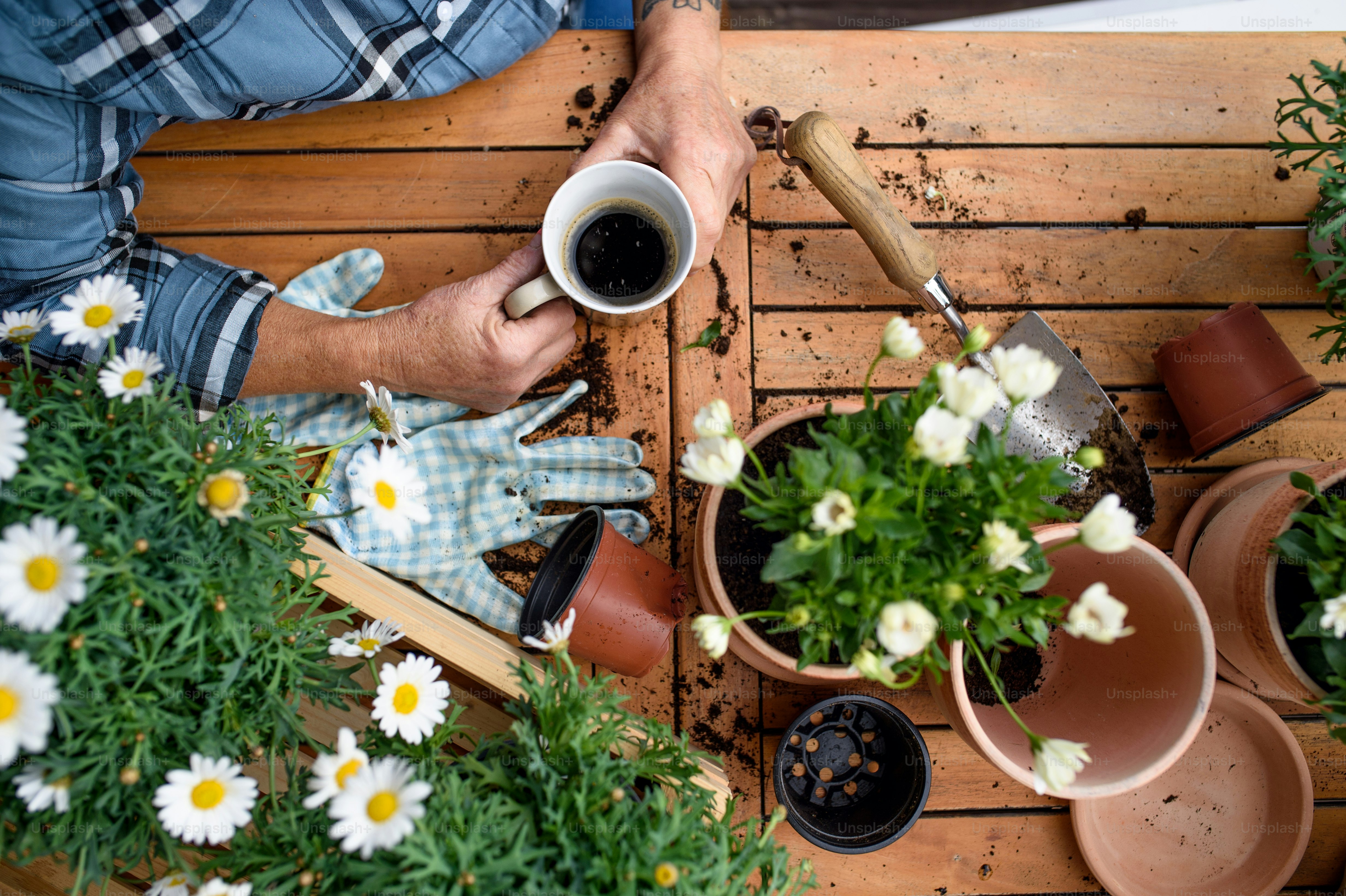 Top view of unrecognizable woman gardening on balcony in summer ...