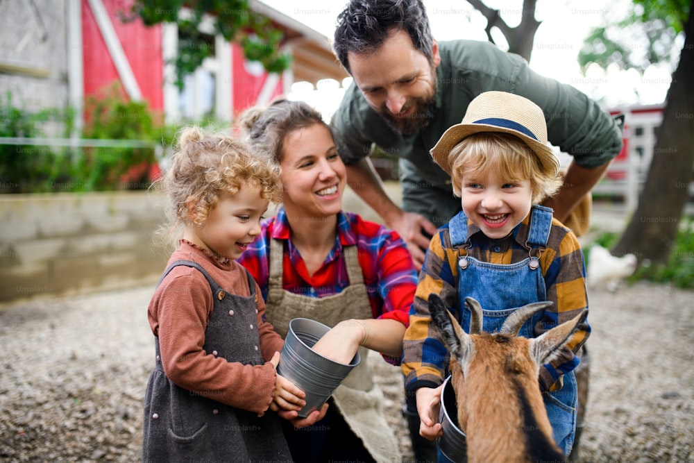 Porträt einer glücklichen Familie mit kleinen Kindern, die auf dem Bauernhof stehen und Ziege füttern.