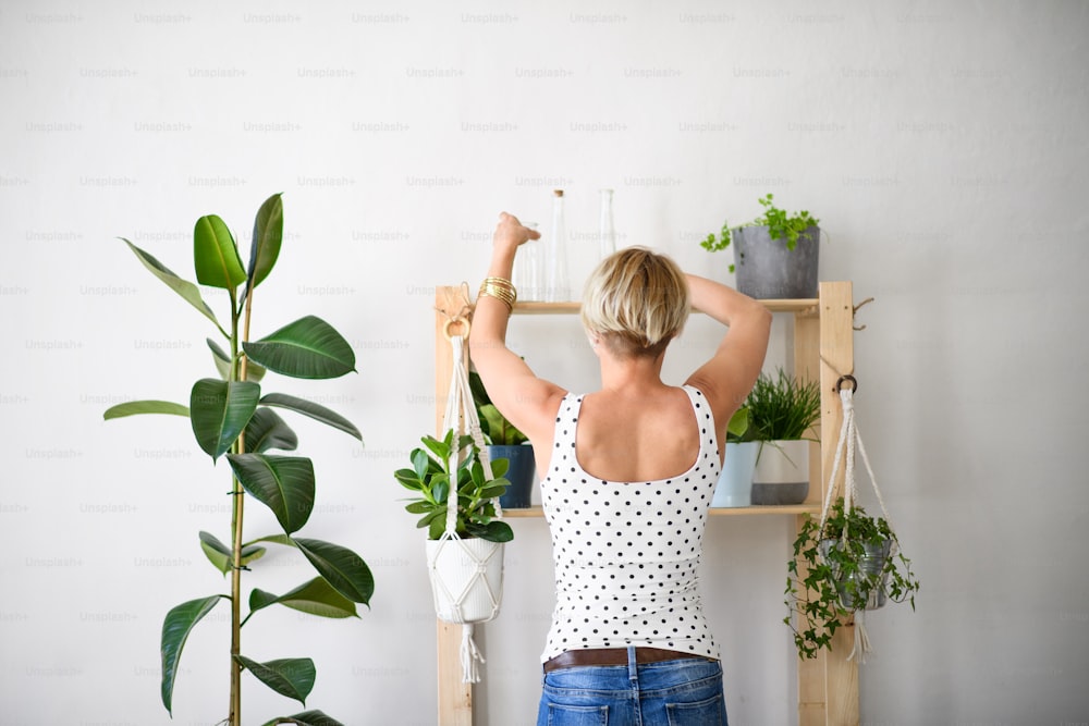 Rear view of young woman indoors at home, arranging plants on wooden shelf.