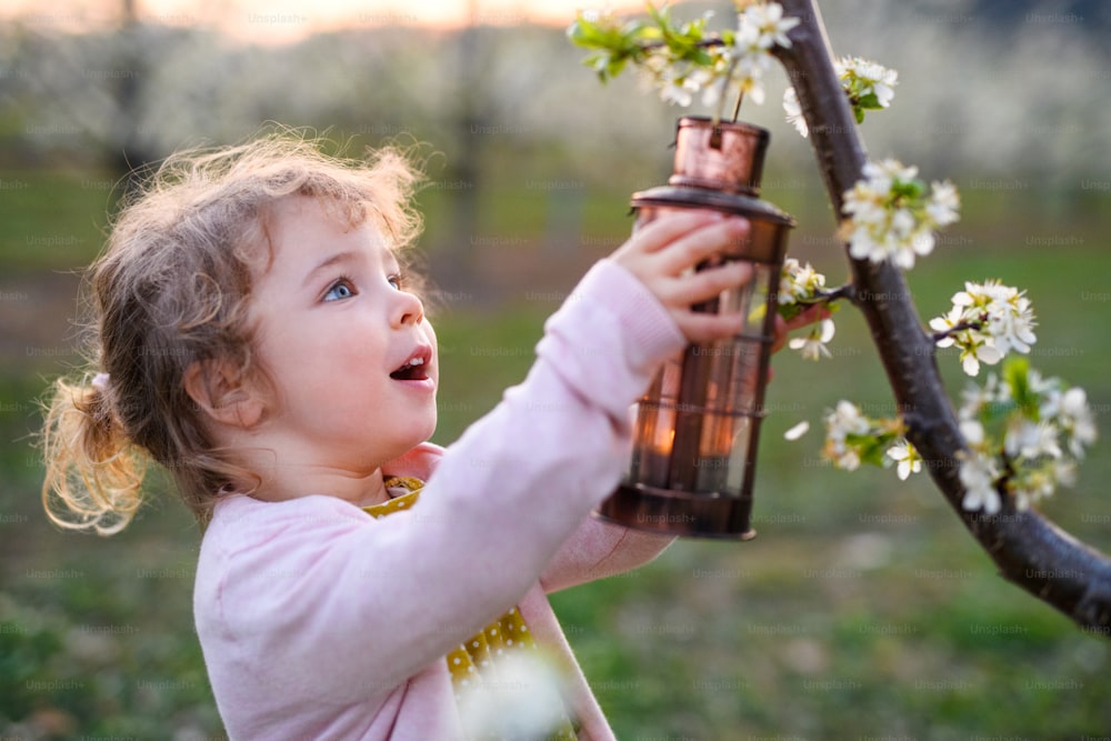 Glückliches kleines Kleinkind, das im Frühling im Obstgarten steht und Laterne hält.
