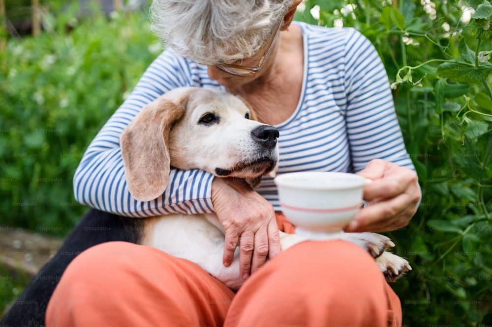 Portrait of senior woman with coffee sitting outdoors in garden, pet dog friendship concept.
