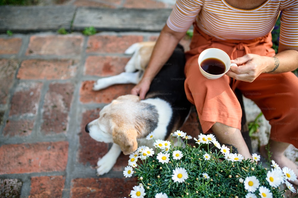 Una mujer mayor irreconocible con café sentada al aire libre en el jardín, amistad con un perro.