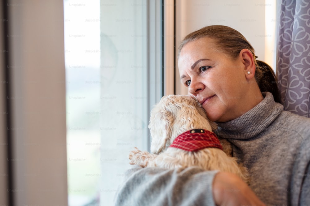 Close-up portrait of senior woman sitting by window indoors at home, holding dog.