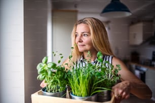 Portrait of happy woman indoors at home, carrying box with herbs.