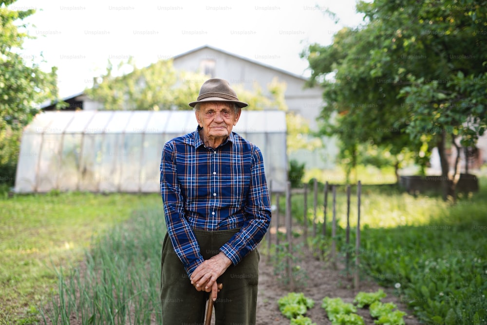 A portrait of sad elderly man standing outdoors in garden, looking at camera.