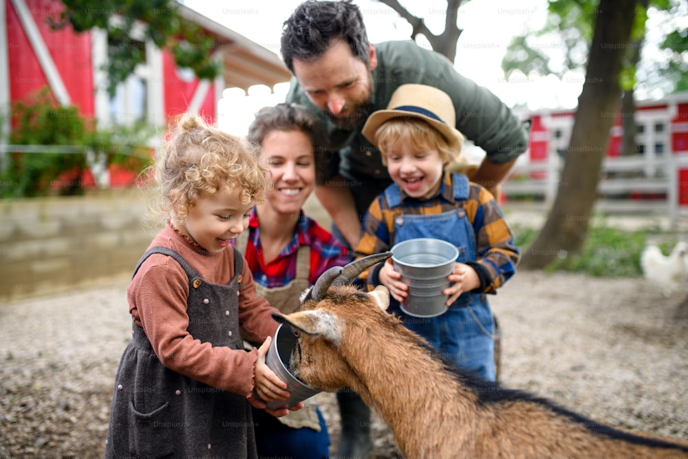 Ritratto di famiglia felice con bambini piccoli in piedi sulla fattoria, dando acqua alla capra.