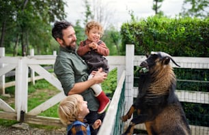 Retrato del padre con los niños pequeños felices de pie en la granja, alimentando a la cabra.