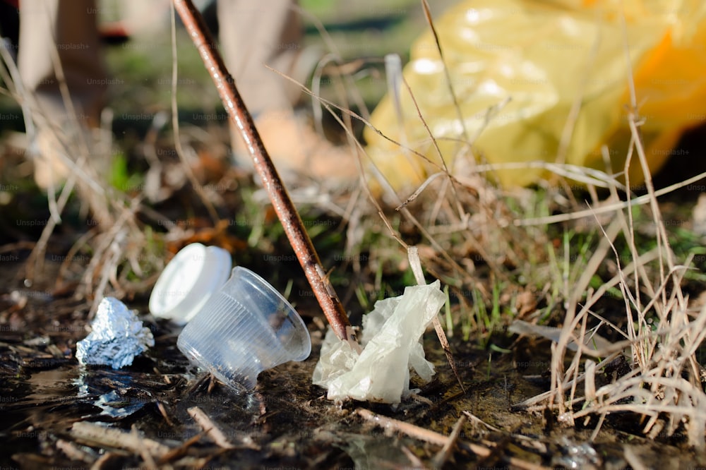 Close-up of rubbish collecting outdoors in nature, plogging concept