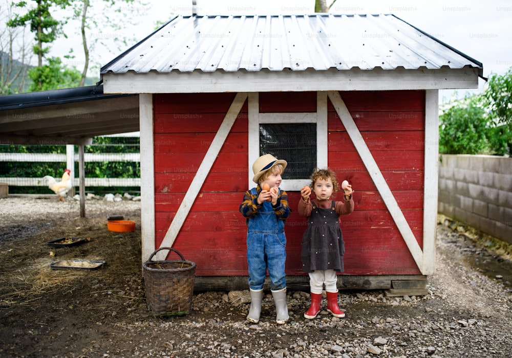 卵を持って農場に立つ小さな子供たちの正面図の肖像画。