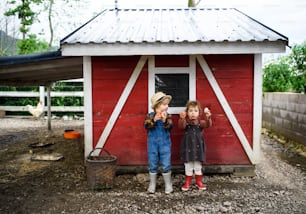 Front view portrait of small children standing on farm, holding eggs.