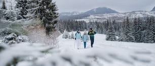 スロバキアのタトラ山脈、冬の自然の中で屋外を散歩する小さな娘と家族。