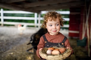 Front view portrait of small girl standing on farm, holding basket with eggs.