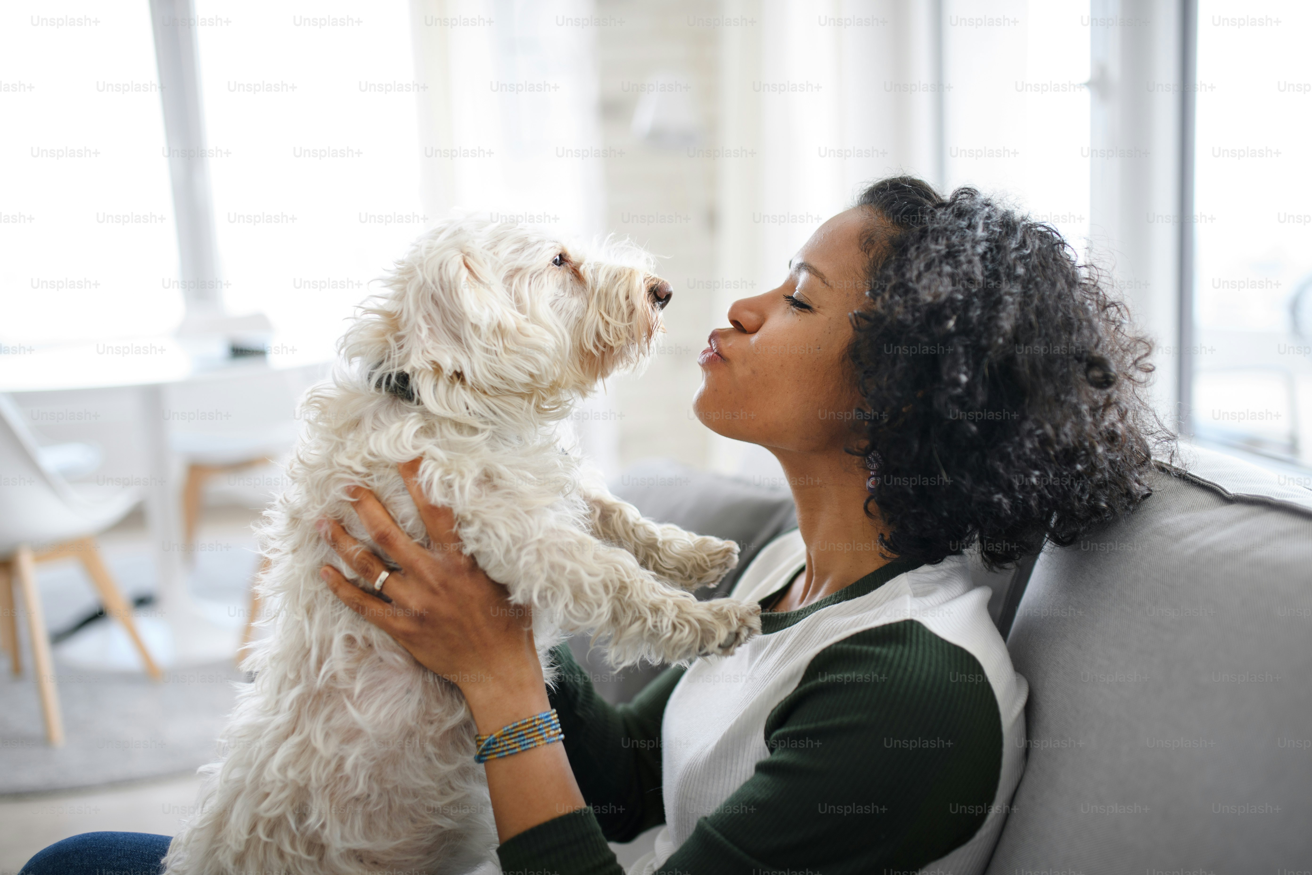Un portrait de femme mûre heureuse assise à l’intérieur à la maison, jouant avec un chien.