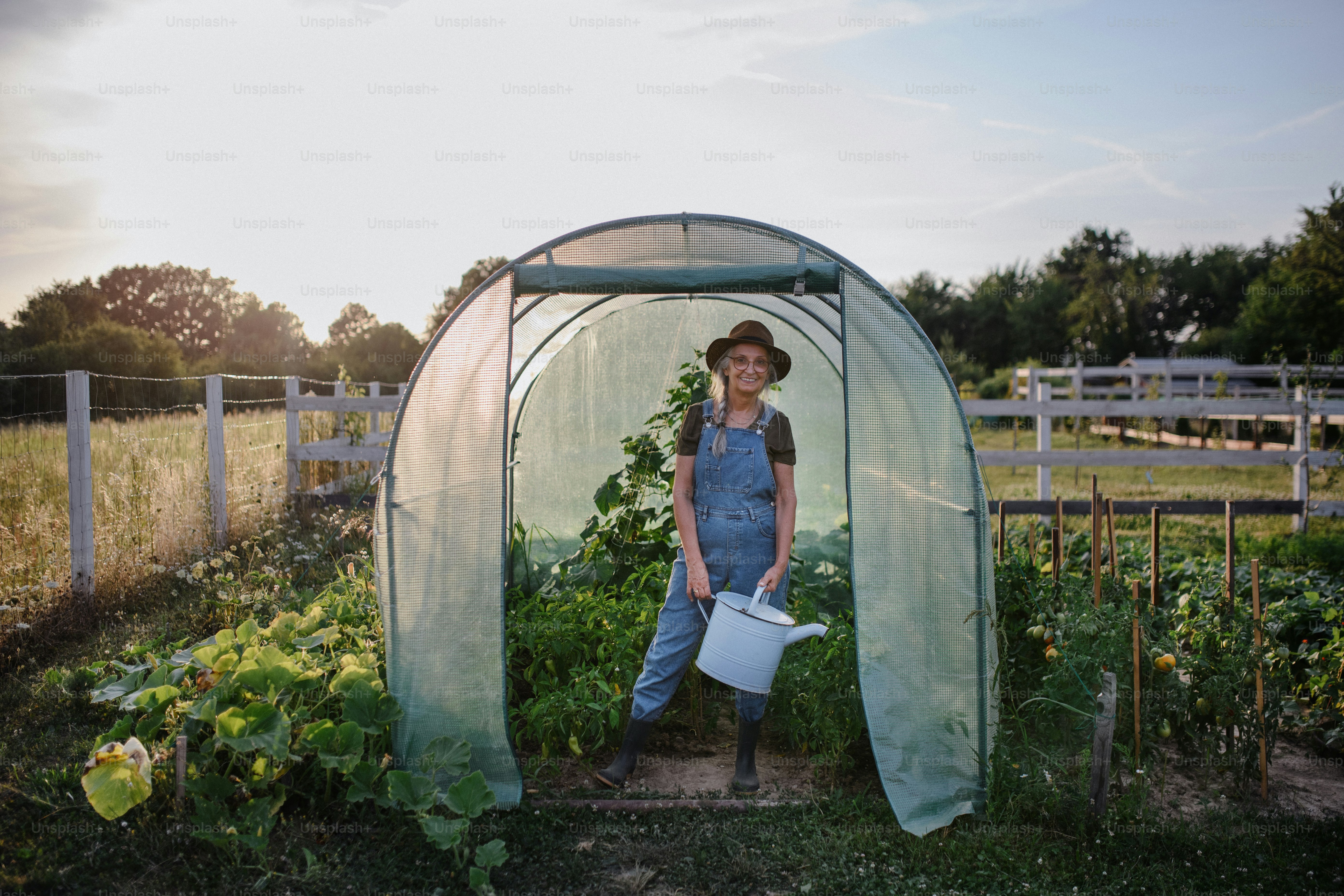 A senior gardener woman holding watering can in greenhouse at garden ...