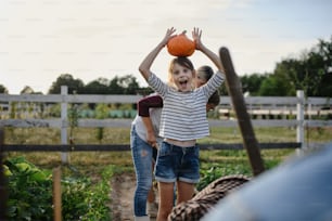 Una niña granjera feliz sosteniendo calabaza orgánica al aire libre en una granja comunitaria.