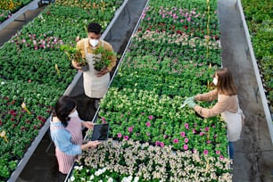 Vista superior del grupo de personas que trabajan en invernadero en centro de jardinería, concepto de coronavirus.