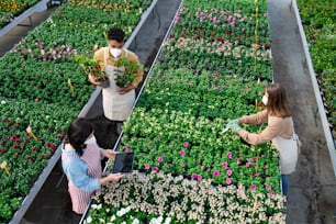 Top view of group of people working in greenhouse in garden center, coronavirus concept.