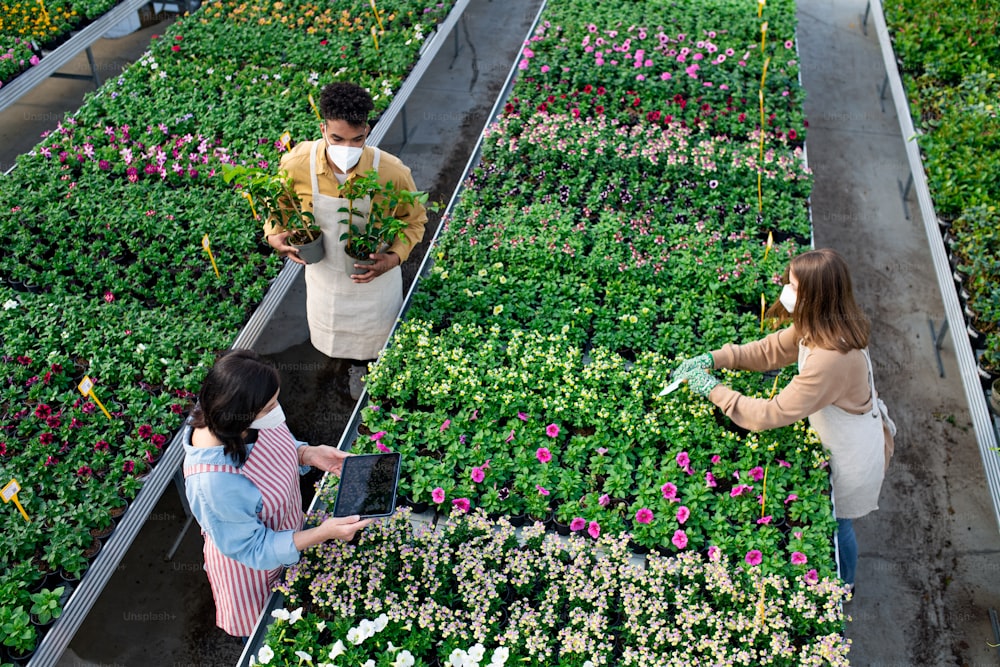 Draufsicht einer Gruppe von Menschen, die im Gewächshaus im Gartencenter arbeiten, Coronavirus-Konzept.