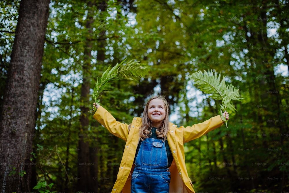 森の中でシダの葉を屋外で抱えている幸せな少女のローアングルビュー。