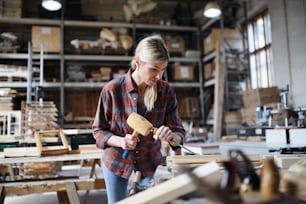 A portrait of female carpenter with goggles working on her product indoors in carpentry workshop. Small business concept.