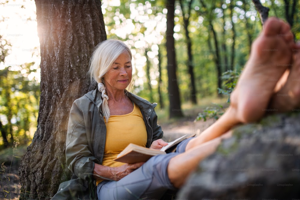 Eine ältere Frau, die sich entspannt und Buch im Freien im Wald liest.