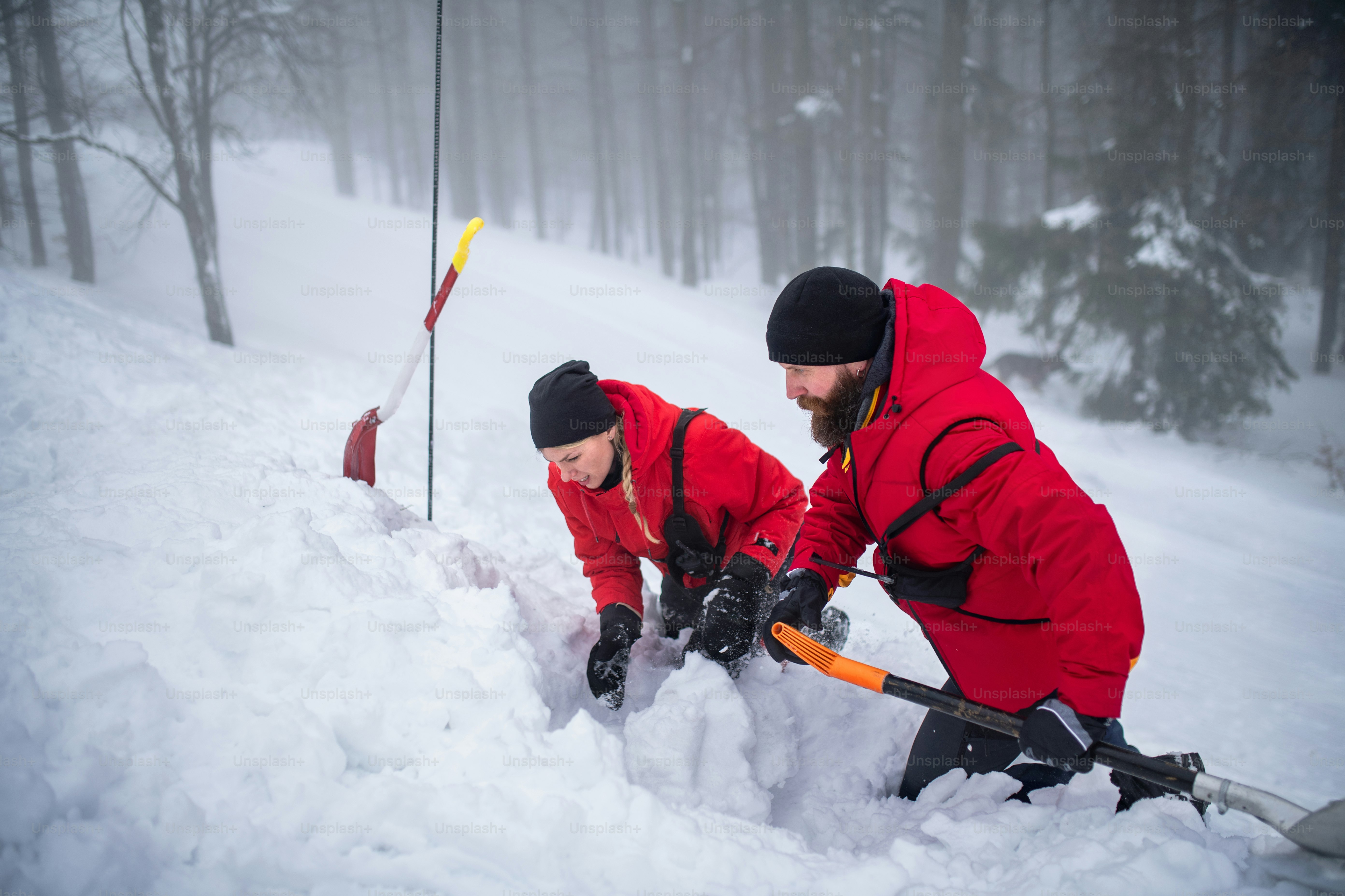 Top Insurance Providers for Remote Survival Training Courses