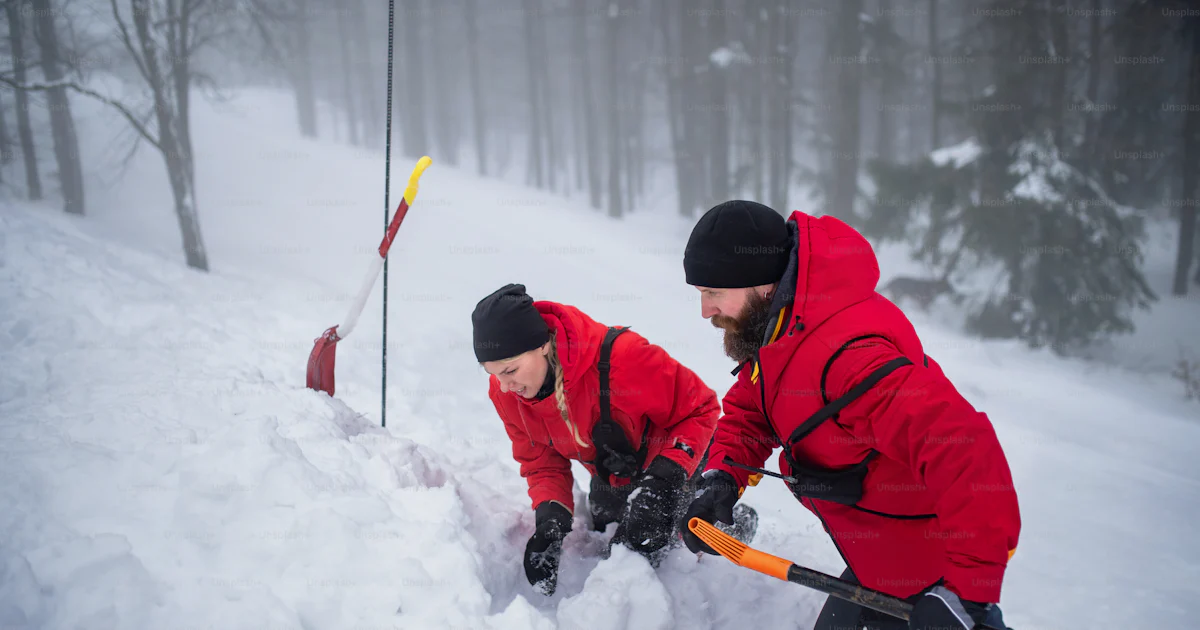 Mountain rescue service on operation outdoors in winter in forest ...