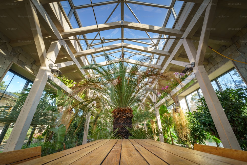 A modern restaurant terrace interior in the summer