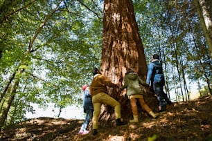 Una vista de ángulo bajo de un grupo diverso de activistas ambientales abrazando un gran árbol de secuoya en el bosque