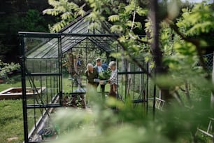 コミュニティガーデンの温室で野菜を植える先輩女性の友人。