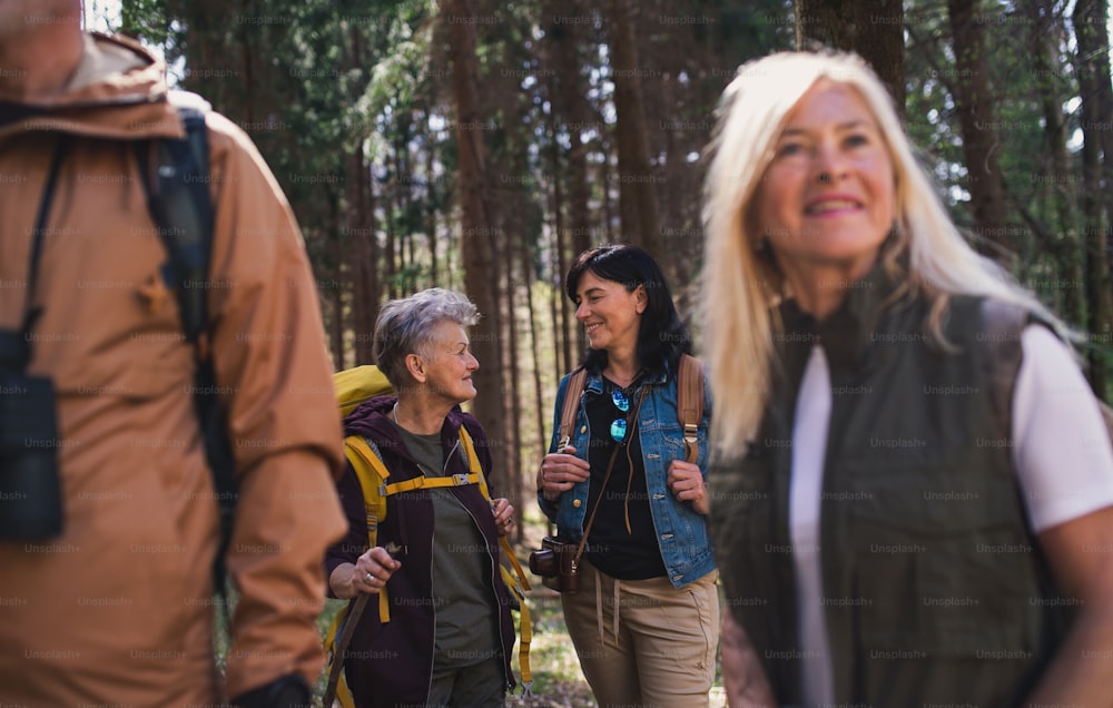 Porträt der Gruppe von Senioren Wanderer im Freien im Wald in der Natur, Wandern.