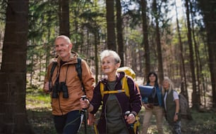 Portrait of group of seniors hikers outdoors in forest in nature, walking.