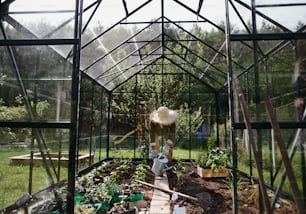 An unrecognizable senior woman watering plants in greenhouse at garden.