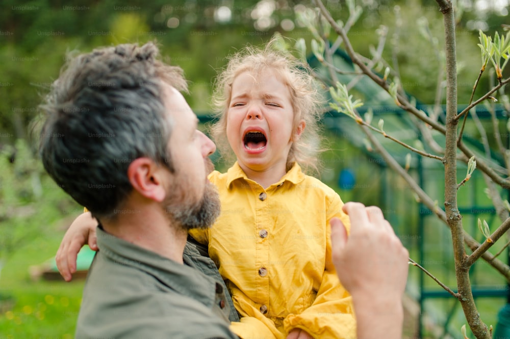 Um pai segurando sua filhinha chorando e confortando-a no jardim