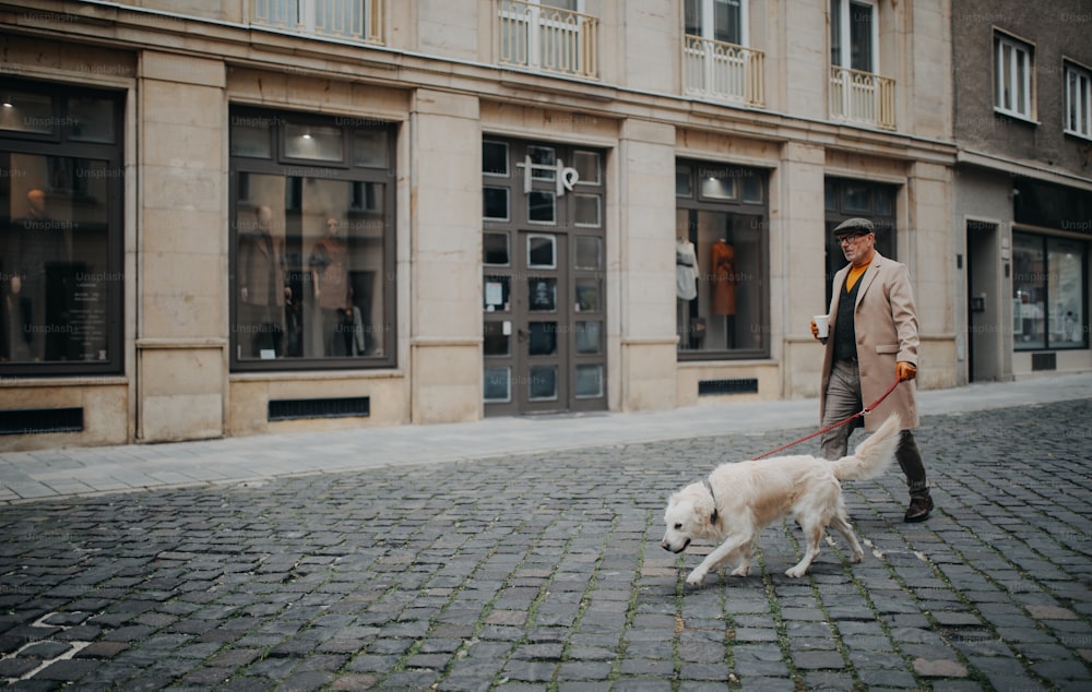 겨울에 도시에서 야외에서 개를 산책시키는 커피를 가져가는 우아한 노인의 측면보기.