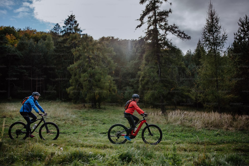 Una vista lateral de una pareja de ancianos activos montando bicicletas al aire libre en el bosque en un día de otoño.
