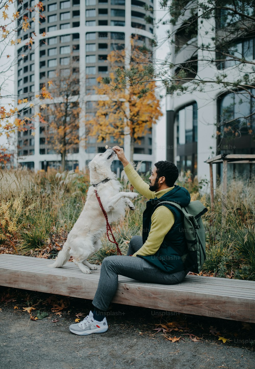 Eine Seitenansicht eines jungen Mannes, der auf der Bank sitzt und seinen Hund draußen in der Stadt trainiert.