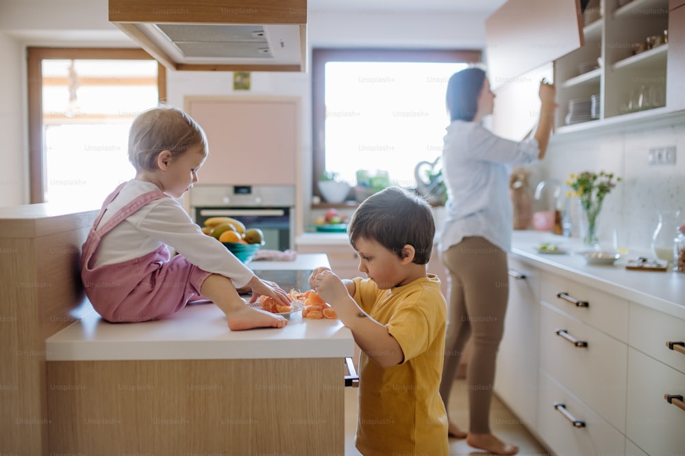 A mother of two little children preparing breakfast in kitchen at home.
