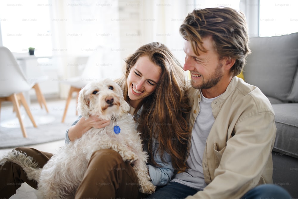 A happy young couple in love with dog indoors at home, resting.