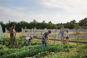 Agricultores ou jardineiros jovens e velhos felizes que trabalham ao ar livre em uma fazenda comunitária.